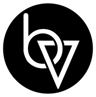 Brand Vision logo