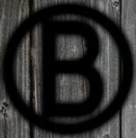 Branding Iron Marketing, LLC logo