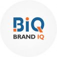 BrandiQ logo