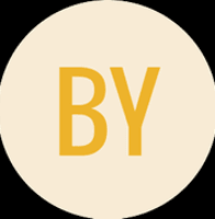 Brenda Young Haithco & Company, Inc. logo