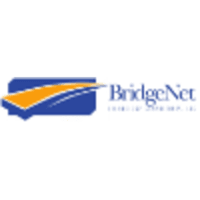 BridgeNet Technology Consultants logo