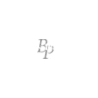 Bridgeton Properties, LLC. logo