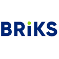 BRIKS logo