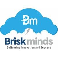 Briskminds logo