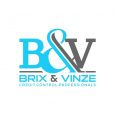 Brix & Vinze (M) SDN BHD logo