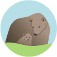 Brown Bear Creative logo