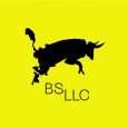 BS LLC Branding Agency logo