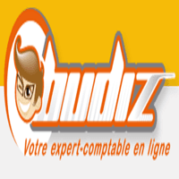 Budiz logo