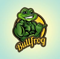 Bullfrog Digital Marketing Agency & SEO Company logo