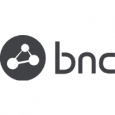 Business Network Consulting logo