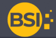 Business Software India logo