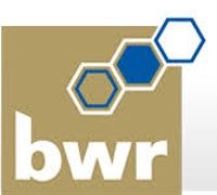 BWR Accountants & Advisers logo