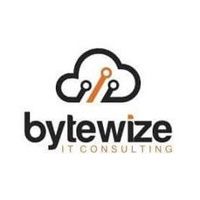 Bytewize logo