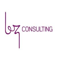 BZ Consulting logo