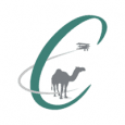 Camel Financial logo