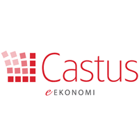 Castus Ekonomi logo