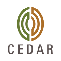 Cedar Management Consulting International logo
