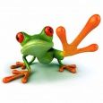Cyberfrog Design logo