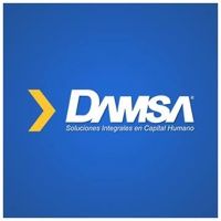 DAMSA logo