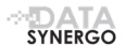 Data Synergo logo