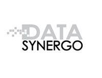 Data Synergo Sdn Bhd logo