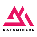 DataMiners