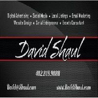 David Shaul logo