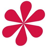 de Novo Marketing logo