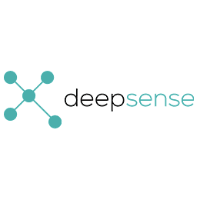 Deepsense Digital Solutions logo