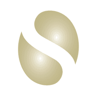 Diane Stelken logo