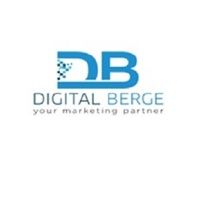 Digital Berge logo