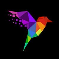 Digital Bird logo