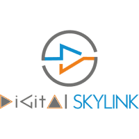 Digital SKYLINK logo