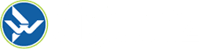 Digiwhiz - Web Design Development & Digital Marketing