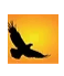Direct Recovery Associates logo