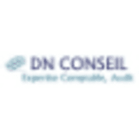 DN Conseil logo