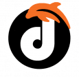 Dolphin Web Solution logo