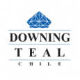 Downing Teal logo