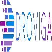 Droviga Inc logo