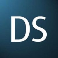 Dulay Seymour logo