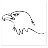 Eagle10 Ventures logo