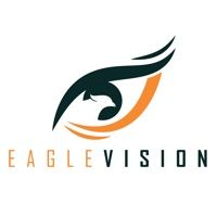 Eagle Vision Solutions logo
