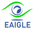 EAIGLE logo