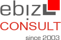 ebiz-consult GmbH & Co. KG