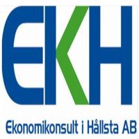 Ekonomikonsult i Hållsta AB logo