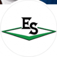 Employment Solutions Staffing logo