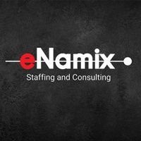 eNamix logo