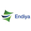 Endiya Partners logo