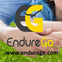 EndureGo logo