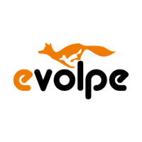 eVolpe Consulting Group logo
